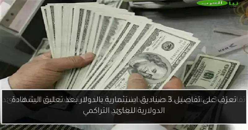 تعرّف على تفاصيل 3 صناديق استثمارية بالدولار بعد تعليق الشهادة الدولارية للعائد التراكمي