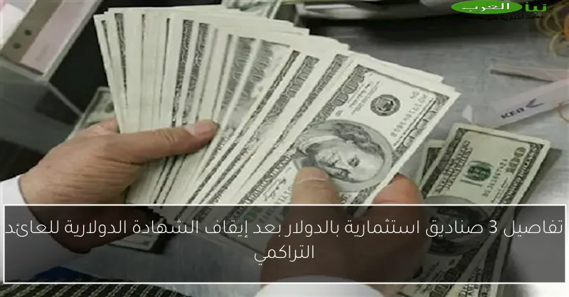 تفاصيل 3 صناديق استثمارية بالدولار بعد إيقاف الشهادة الدولارية للعائد التراكمي