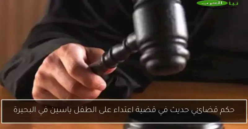 حكم قضائي حديث في قضية اعتداء على الطفل ياسين في البحيرة