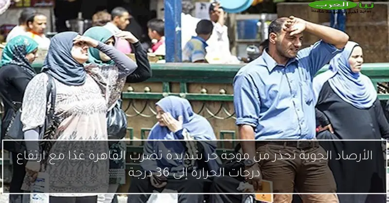 الأرصاد الجوية تحذر من موجة حر شديدة تضرب القاهرة غدًا مع ارتفاع درجات الحرارة إلى 36 درجة
