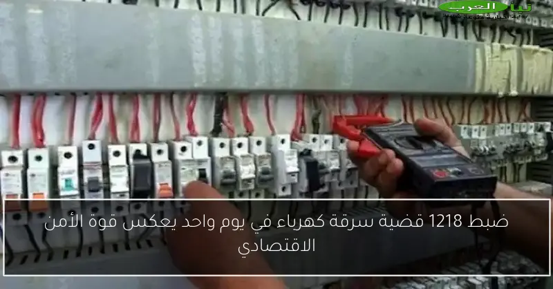 ضبط 1218 قضية سرقة كهرباء في يوم واحد يعكس قوة الأمن الاقتصادي