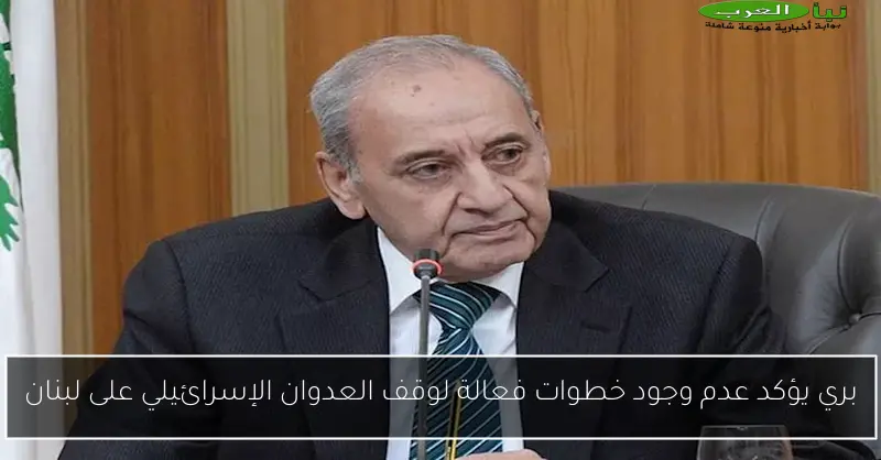 بري يؤكد عدم وجود خطوات فعالة لوقف العدوان الإسرائيلي على لبنان