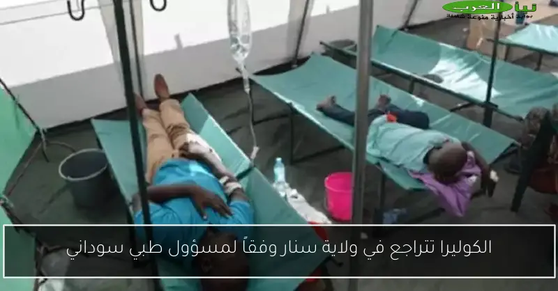الكوليرا تتراجع في ولاية سنار وفقاً لمسؤول طبي سوداني