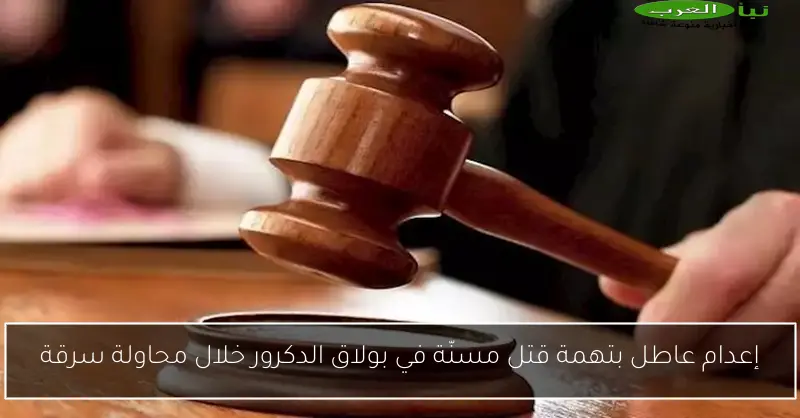 إعدام عاطل بتهمة قتل مسنّة في بولاق الدكرور خلال محاولة سرقة