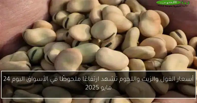 أسعار الفول والزيت واللحوم تشهد ارتفاعًا ملحوظًا في الأسواق اليوم 24 مايو 2025