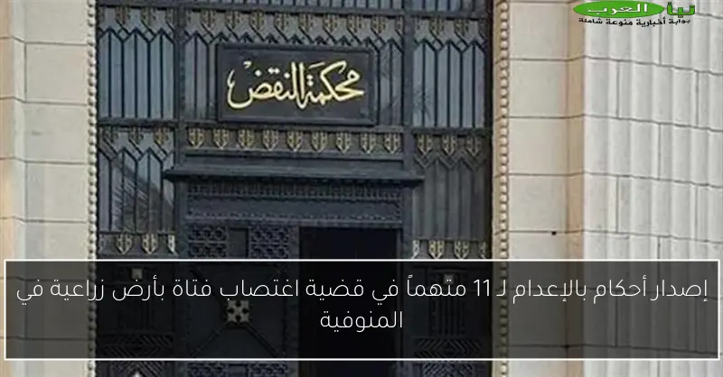 إصدار أحكام بالإعدام لـ 11 متهماً في قضية اغتصاب فتاة بأرض زراعية في المنوفية