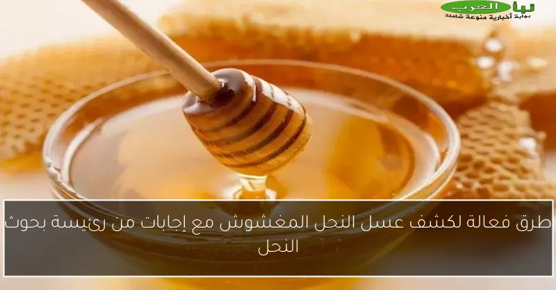 طرق فعالة لكشف عسل النحل المغشوش مع إجابات من رئيسة بحوث النحل