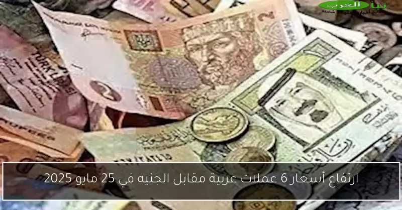 ارتفاع أسعار 6 عملات عربية مقابل الجنيه في 25 مايو 2025