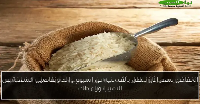 انخفاض سعر الأرز للطن بألف جنيه في أسبوع واحد وتفاصيل الشعبة عن السبب وراء ذلك