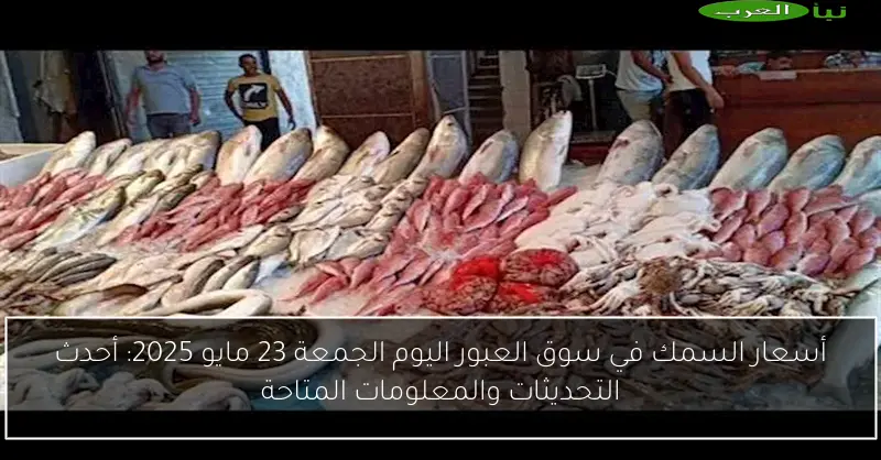 أسعار السمك في سوق العبور اليوم الجمعة 23 مايو 2025: أحدث التحديثات والمعلومات المتاحة