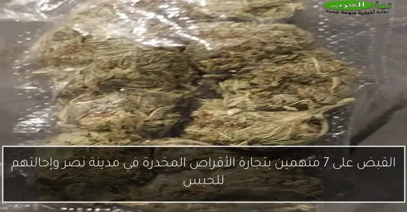 القبض على 7 متهمين بتجارة الأقراص المخدرة في مدينة نصر وإحالتهم للحبس