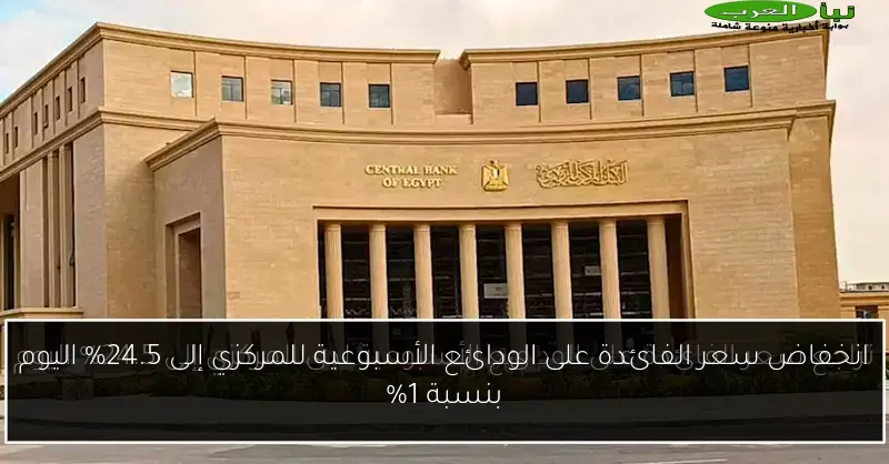 انخفاض سعر الفائدة على الودائع الأسبوعية للمركزي إلى 24.5% اليوم بنسبة 1%