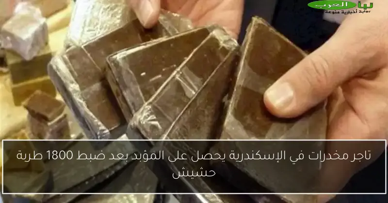 تاجر مخدرات في الإسكندرية يحصل على المؤبد بعد ضبط 1800 طربة حشيش