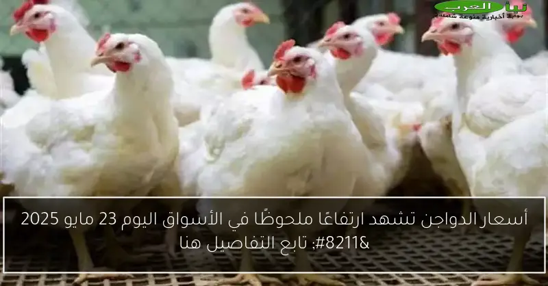 أسعار الدواجن تشهد ارتفاعًا ملحوظًا في الأسواق اليوم 23 مايو 2025 – تابع التفاصيل هنا