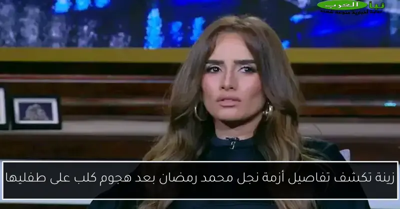 زينة تكشف تفاصيل أزمة نجل محمد رمضان بعد هجوم كلب على طفليها