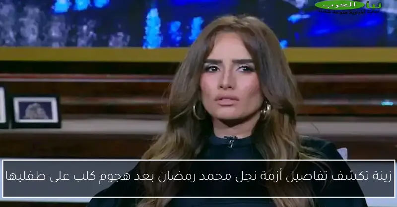 زينة تكشف تفاصيل أزمة نجل محمد رمضان بعد هجوم كلب على طفليها