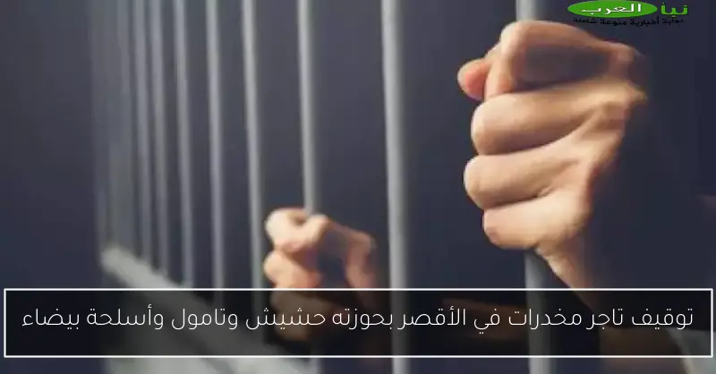 توقيف تاجر مخدرات في الأقصر بحوزته حشيش وتامول وأسلحة بيضاء