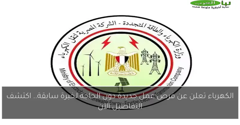 الكهرباء تعلن عن فرص عمل جديدة دون الحاجة لخبرة سابقة.. اكتشف التفاصيل الآن