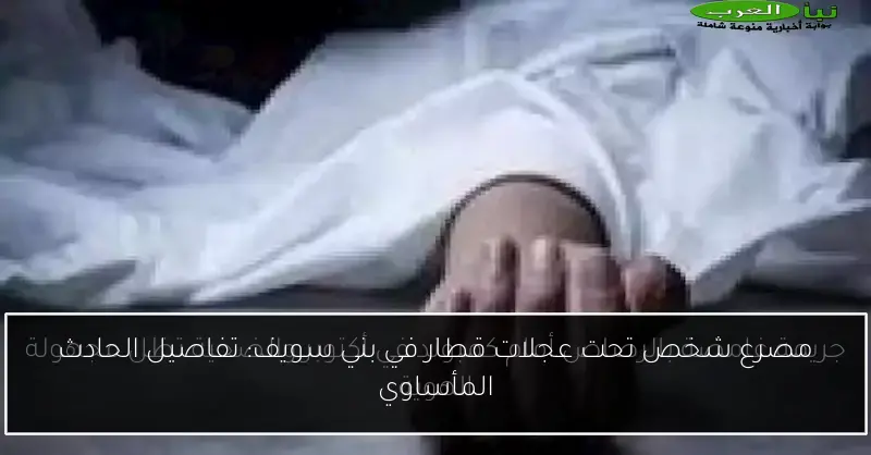 مصرع شخص تحت عجلات قطار في بني سويف: تفاصيل الحادث المأساوي