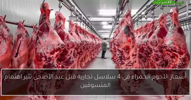 أسعار اللحوم الحمراء في 4 سلاسل تجارية قبل عيد الأضحى تثير اهتمام المتسوقين
