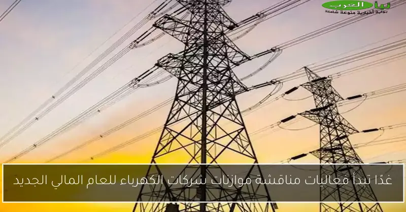 غدًا تبدأ فعاليات مناقشة موازنات شركات الكهرباء للعام المالي الجديد
