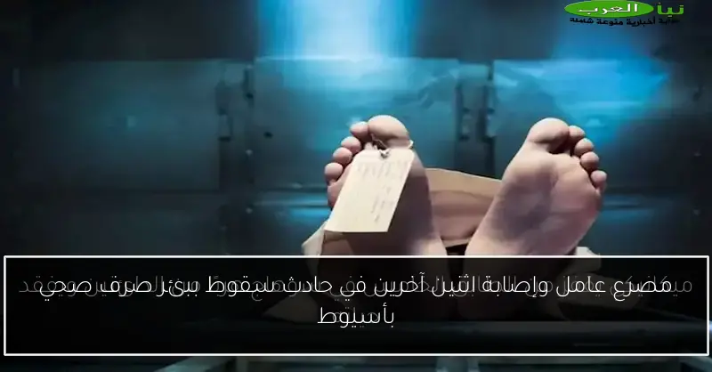 مصرع عامل وإصابة اثنين آخرين في حادث سقوط ببئر صرف صحي بأسيوط