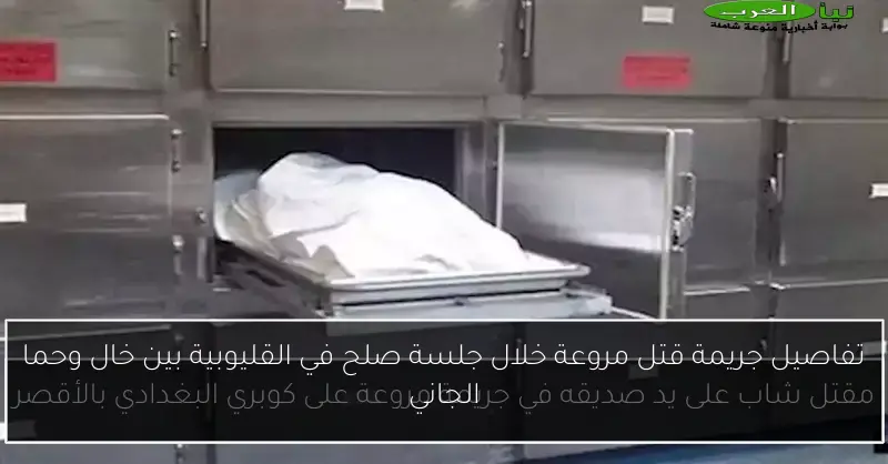 تفاصيل جريمة قتل مروعة خلال جلسة صلح في القليوبية بين خال وحما الجاني