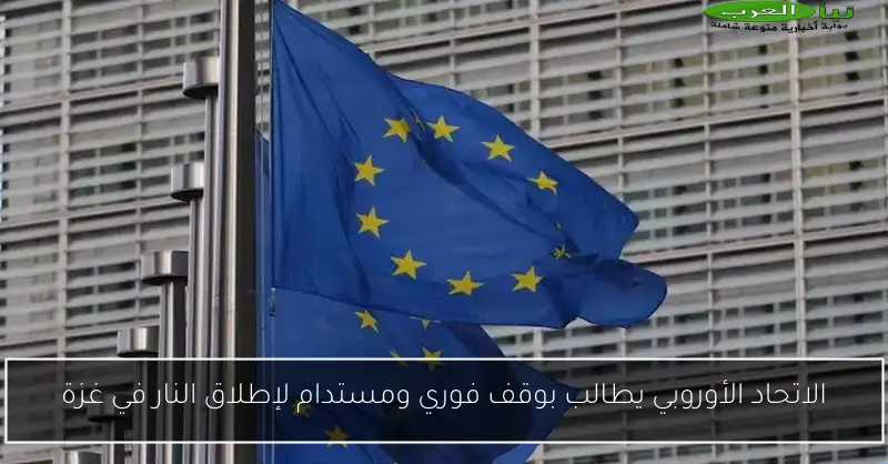 الاتحاد الأوروبي يطالب بوقف فوري ومستدام لإطلاق النار في غزة