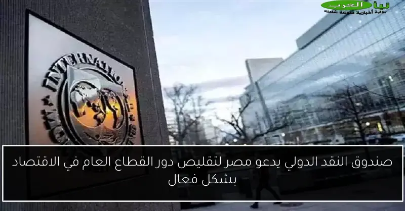 صندوق النقد الدولي يدعو مصر لتقليص دور القطاع العام في الاقتصاد بشكل فعال