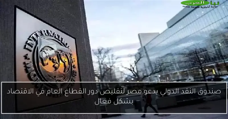 صندوق النقد الدولي يدعو مصر لتقليص دور القطاع العام في الاقتصاد بشكل فعال