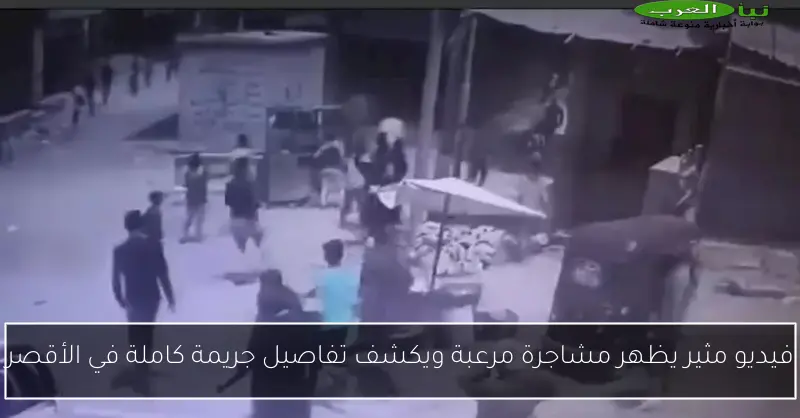 فيديو مثير يظهر مشاجرة مرعبة ويكشف تفاصيل جريمة كاملة في الأقصر