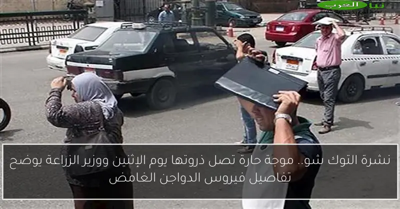 نشرة التوك شو.. موجة حارة تصل ذروتها يوم الإثنين ووزير الزراعة يوضح تفاصيل فيروس الدواجن الغامض