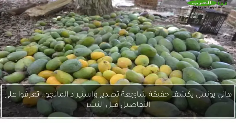 هاني يونس يكشف حقيقة شائعة تصدير واستيراد المانجو.. تعرفوا على التفاصيل قبل النشر