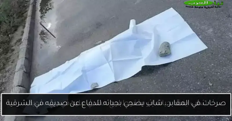 صرخات في المقابر.. شاب يضحي بحياته للدفاع عن صديقه في الشرقية