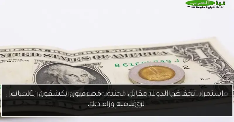 استمرار انخفاض الدولار مقابل الجنيه.. مصرفيون يكشفون الأسباب الرئيسية وراء ذلك