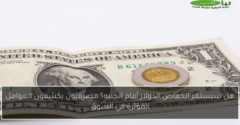 هل سيستمر انخفاض الدولار أمام الجنيه؟ مصرفيون يكشفون العوامل المؤثرة في السوق