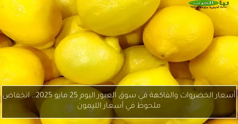 أسعار الخضروات والفاكهة في سوق العبور اليوم 25 مايو 2025.. انخفاض ملحوظ في أسعار الليمون