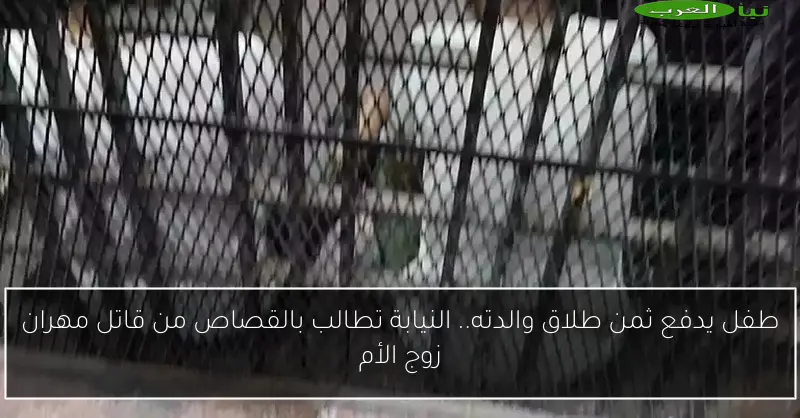 طفل يدفع ثمن طلاق والدته.. النيابة تطالب بالقصاص من قاتل مهران زوج الأم