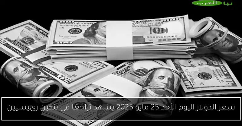 سعر الدولار اليوم الأحد 25 مايو 2025 يشهد تراجعًا في بنكين رئيسيين