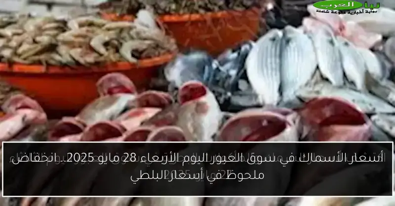 أسعار الأسماك في سوق العبور اليوم الأربعاء 28 مايو 2025.. انخفاض ملحوظ في أسعار البلطي
