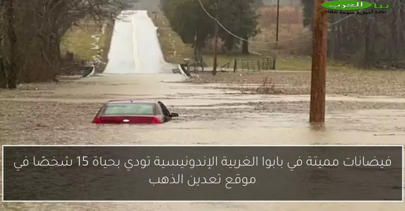 فيضانات مميتة في بابوا الغربية الإندونيسية تودي بحياة 15 شخصًا في موقع تعدين الذهب