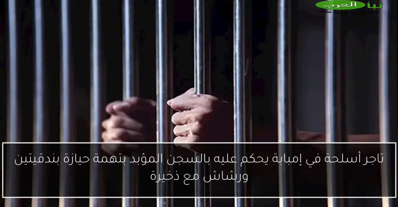 تاجر أسلحة في إمبابة يحكم عليه بالسجن المؤبد بتهمة حيازة بندقيتين ورشاش مع ذخيرة