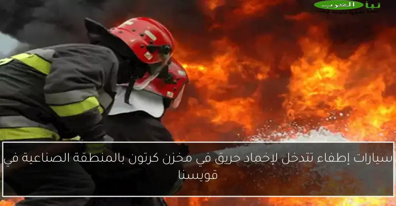 سيارات إطفاء تتدخل لإخماد حريق في مخزن كرتون بالمنطقة الصناعية في قويسنا