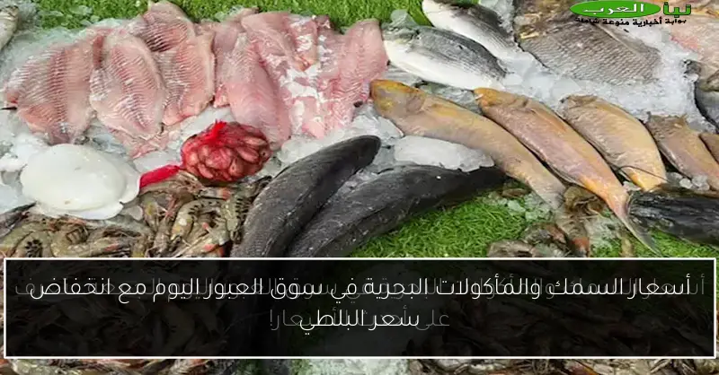 أسعار السمك والمأكولات البحرية في سوق العبور اليوم مع انخفاض سعر البلطي