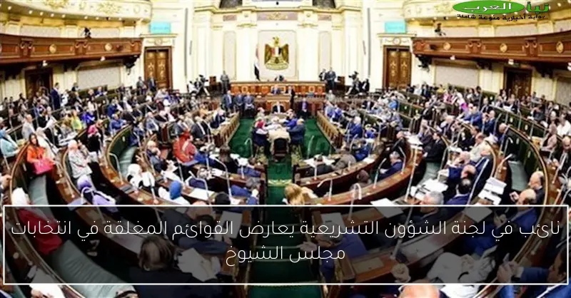 نائب في لجنة الشؤون التشريعية يعارض القوائم المغلقة في انتخابات مجلس الشيوخ