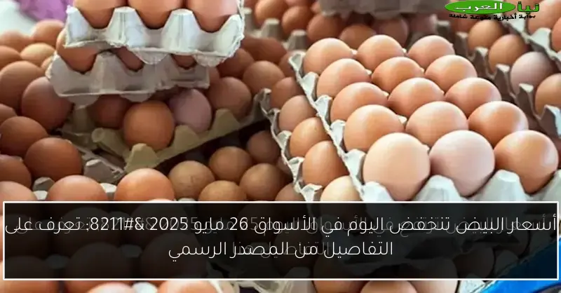أسعار البيض تنخفض اليوم في الأسواق 26 مايو 2025 – تعرف على التفاصيل من المصدر الرسمي