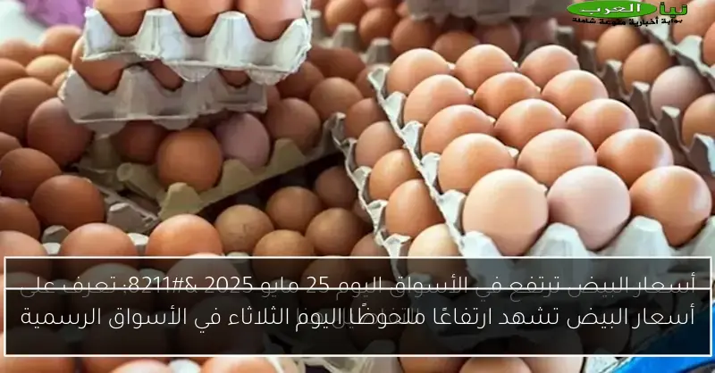 أسعار البيض تشهد ارتفاعًا ملحوظًا اليوم الثلاثاء في الأسواق الرسمية