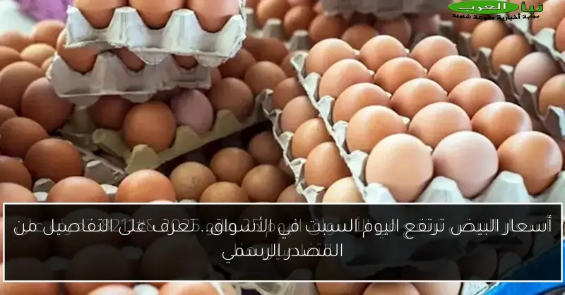 أسعار البيض ترتفع اليوم السبت في الأسواق.. تعرف على التفاصيل من المصدر الرسمي