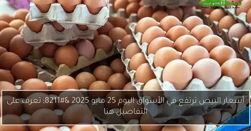 أسعار البيض ترتفع في الأسواق اليوم 25 مايو 2025 – تعرف على التفاصيل هنا