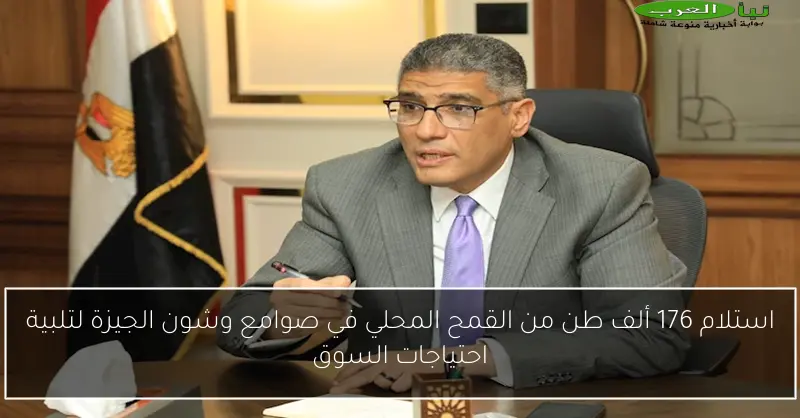 استلام 176 ألف طن من القمح المحلي في صوامع وشون الجيزة لتلبية احتياجات السوق